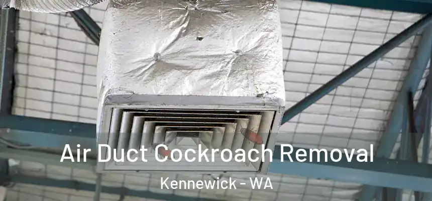 Air Duct Cockroach Removal Kennewick - WA