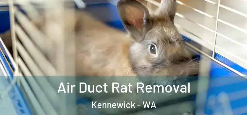 Air Duct Rat Removal Kennewick - WA