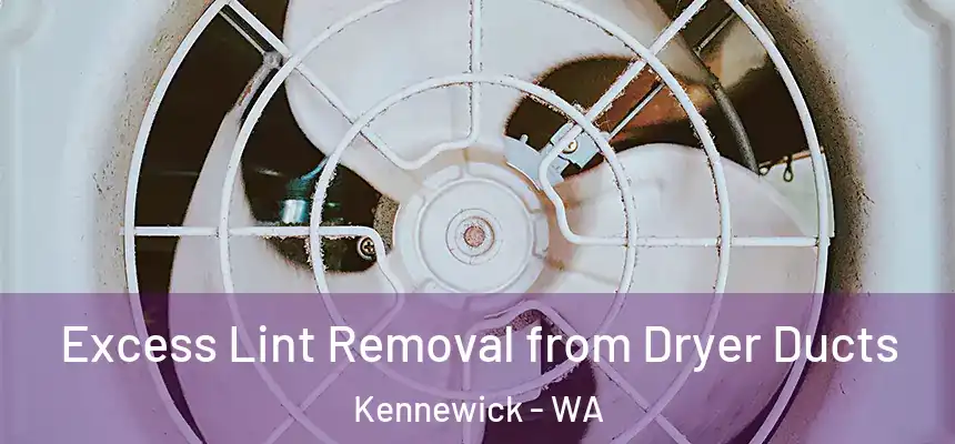  Excess Lint Removal from Dryer Ducts Kennewick - WA