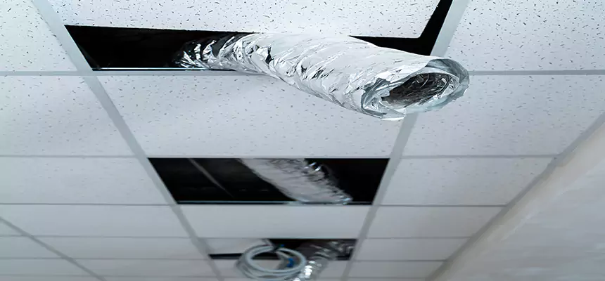 Affordable HVAC Sanitizing After Pest Removal in Kennewick