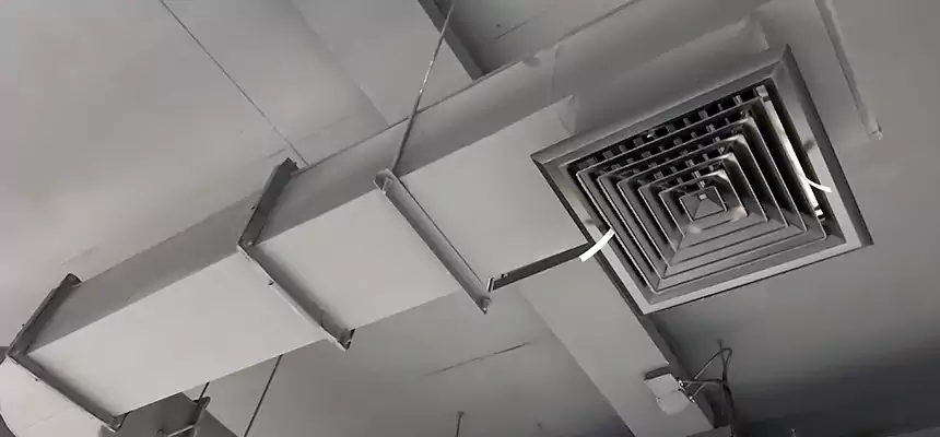 Our Pest Removal From Ducts Services in Kennewick, WA