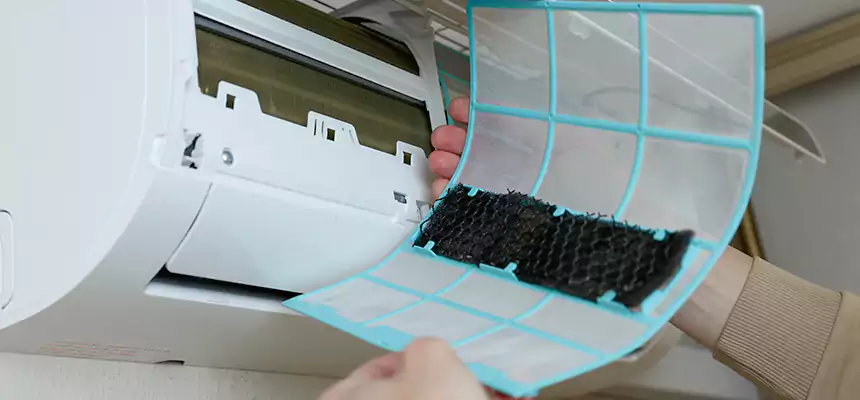 Gentle Ductwork Odor-Control Pet Dander Duct Cleaning in Kennewick, WA