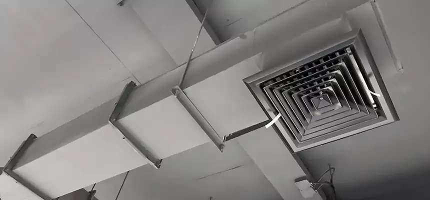 Our Rodent Droppings In Vents Services in Kennewick, WA