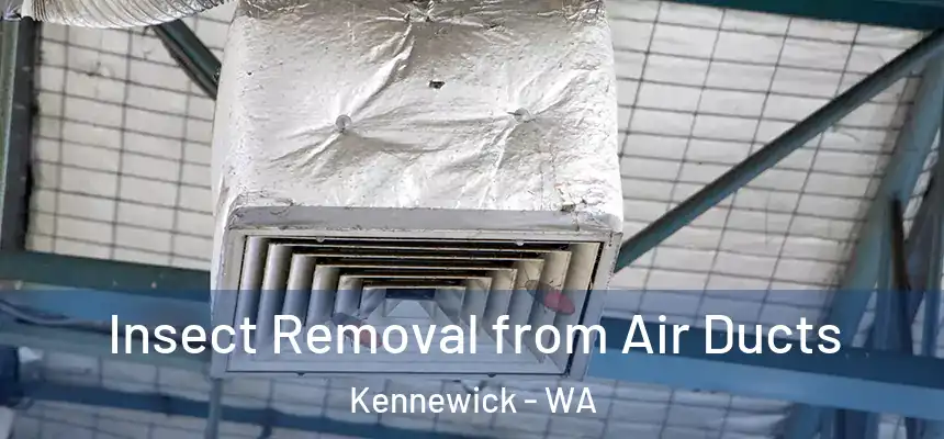 Insect Removal from Air Ducts Kennewick - WA