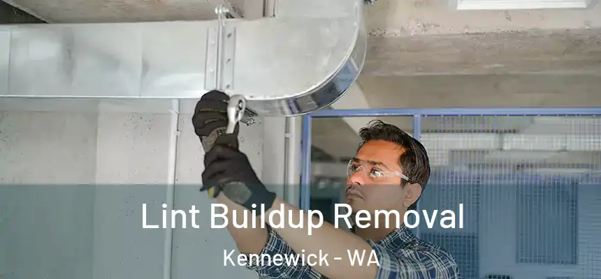  Lint Buildup Removal Kennewick - WA