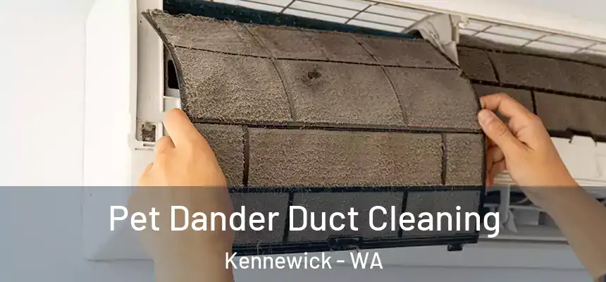 Pet Dander Duct Cleaning Kennewick - WA