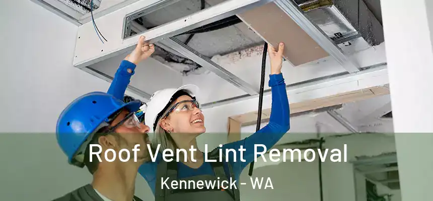  Roof Vent Lint Removal Kennewick - WA