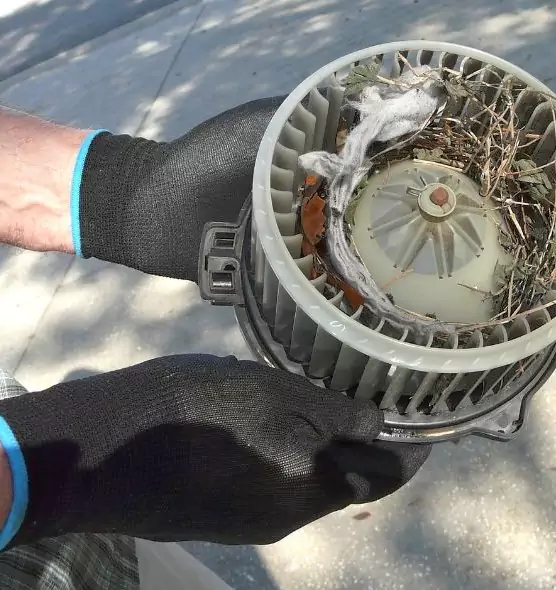 About Air Duct Mice Removal in Kennewick, WA