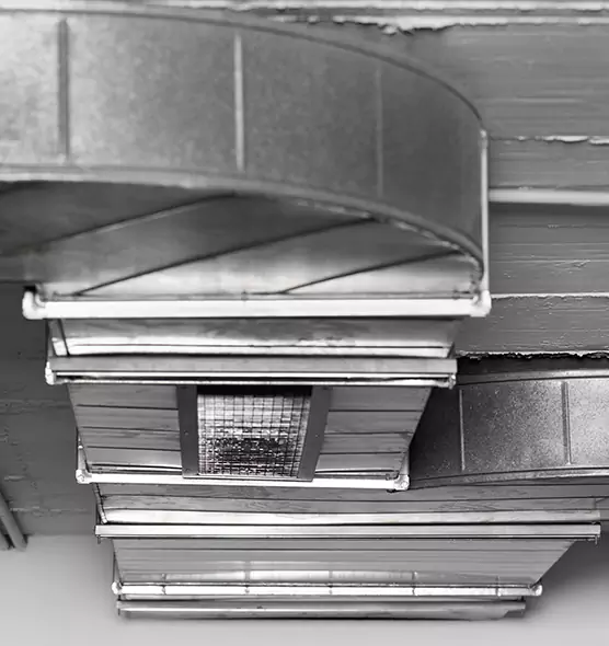 Professional Air Duct Pet Hair Removal in Kennewick, WA