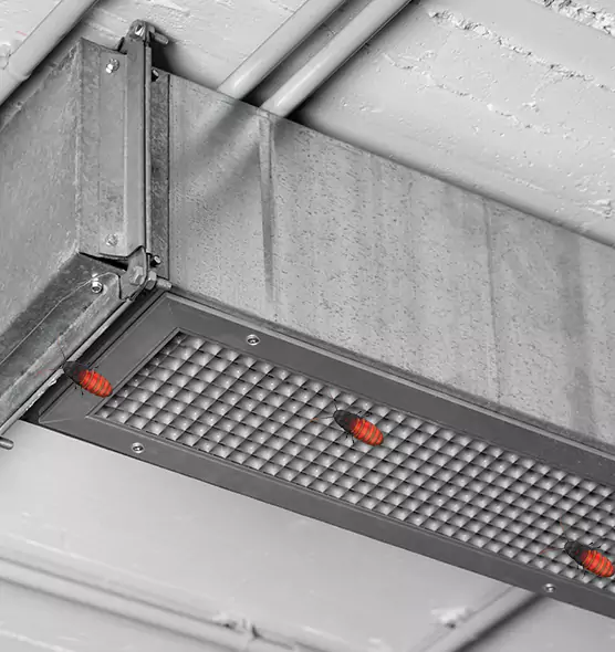 Affordable Insect Removal from Air Ducts in Kennewick, WA