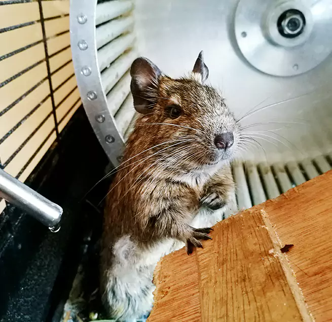 Why Homeowners & Businesses Trust Us Kennewick, WA